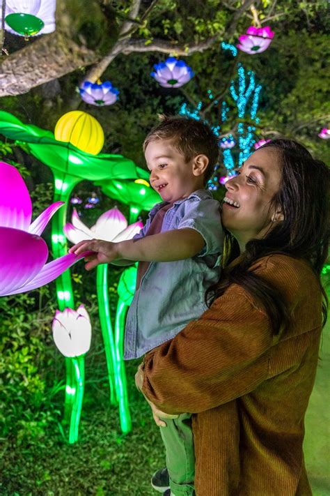 Glowing wild Lantern Festival.